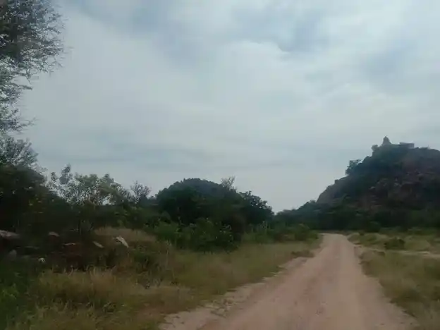 Arulmigu Karattukotai Perumal Temple, Karikali - 624703 .அருள்மிகு கரட்டுக்கோட்டை பெருமாள் திருக்கோயில், Karikali - 624703, Dindigul - Ancient Temple Architecture and History Image 4