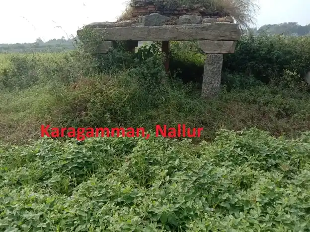 Arulmigu Kargamman, Gangaiamman & Pattalamman Temple, Nallur - 635121 Temple