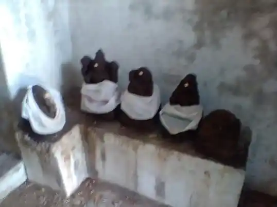 Arulmigu Kari Manikkam Perumal Temple, Madapuram - 611103 Arulmigu Kari Manikkam Perumal Temple, Madapuram - 611103, Nagapattinam - Ancient Temple Architecture and History Image 4