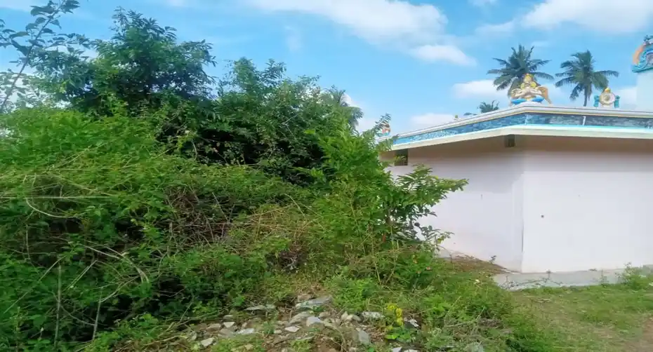 Arulmigu Kari Varathara Perumal Temple, Kallappadi - 632601 அருள்மிகு கரிவரதராஜப்பெருமாள் திருக்கோயில், கல்லப்பாடி - 632601, Vellore - Ancient Temple Architecture and History Image 7