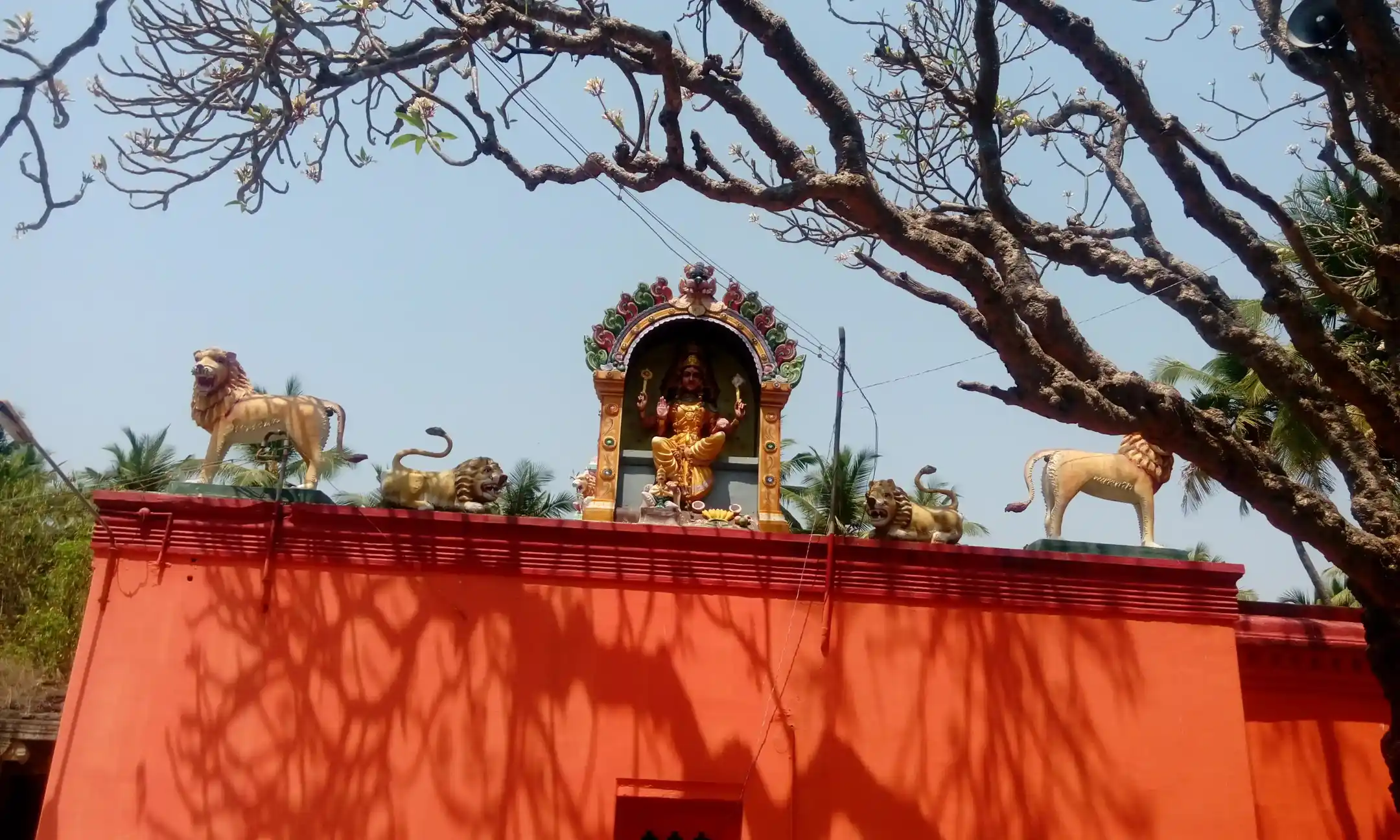 Arulmigu Kari Varatharaja Perumal Temple, Mel Kavanur - 632209 Temple