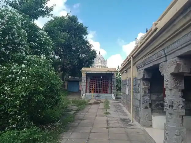 Arulmigu Karia Manicka Perumal Temple, Cheyyur - 603302 அருள்மிகு கரியமாணிக்கப்பெருமாள் திருக்கோயில், செய்யூர் - 603302, Chengalpattu - Ancient Temple Architecture and History Image 3