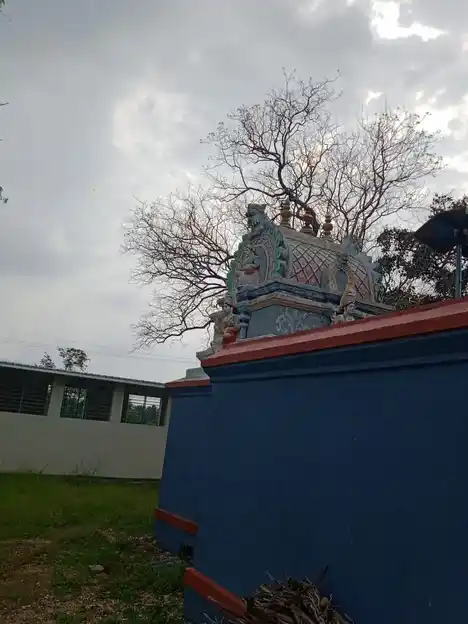 Arulmigu Kariakaliamman Temple, Kariampalayam - 641653 அருள்மிகு கரியகாளியம்மன் திருக்கோயில், Kariampalayam - 641653, Coimbatore - Ancient Temple Architecture and History Image 3