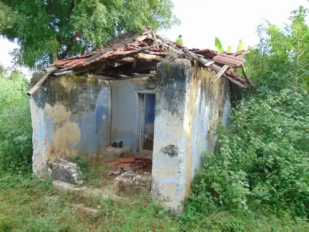 Arulmigu Kariakaliamman Temple, Muriandampalayam - 641655 அருள்மிகு கரியகாளியம்மன் திருக்கோயில், Muriandampalayam - 641655, Tiruppur - Ancient Temple Architecture and History Image 2