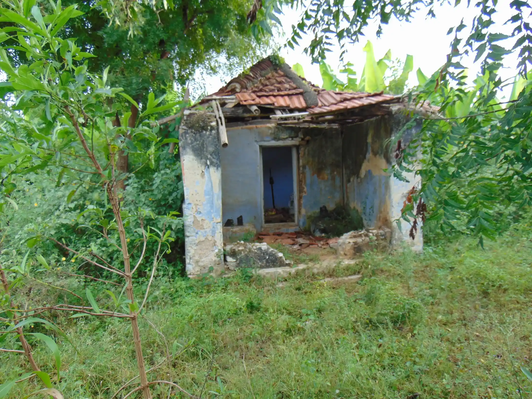 Arulmigu Kariakaliamman Temple, Muriandampalayam - 641655 அருள்மிகு கரியகாளியம்மன் திருக்கோயில், Muriandampalayam - 641655, Tiruppur - Ancient Temple Architecture and History Image 4