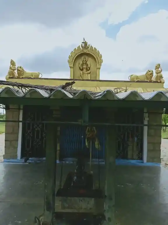 Arulmigu Kariakaliamman Temple, Pallakkapalayam - 637303