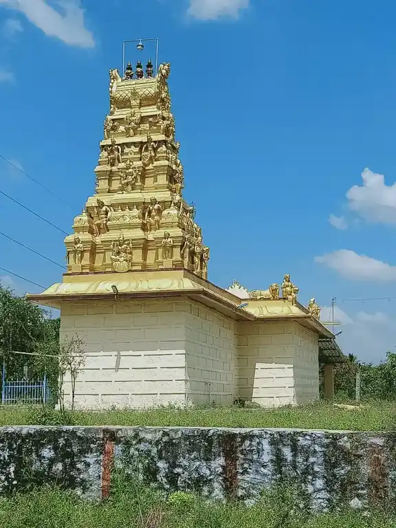 Arulmigu Kariakaliamman Temple, Pallakkapalayam - 637303 அருள்மிகு கரியகாளியம்மன் திருக்கோயில், Pallakkapalayam - 637303, Namakkal - Ancient Temple Architecture and History Image 3