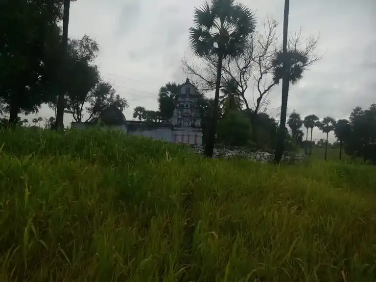 Arulmigu Kariakaliamman Temple, Thoramangalam - 636501 . அருள்மிகு கரிய காளியம்மன் திருக்கோயில், Thoramangalam - 636501, Salem - Ancient Temple Architecture and History Image 3