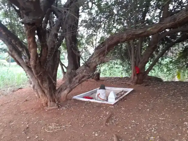 Arulmigu Kariaperumal Temple, Avalpundurai - 638115 அருள்மிகு கரியபெருமாள் திருக்கோயில், Avalpundurai - 638115, Erode - Ancient Temple Architecture and History Image 3