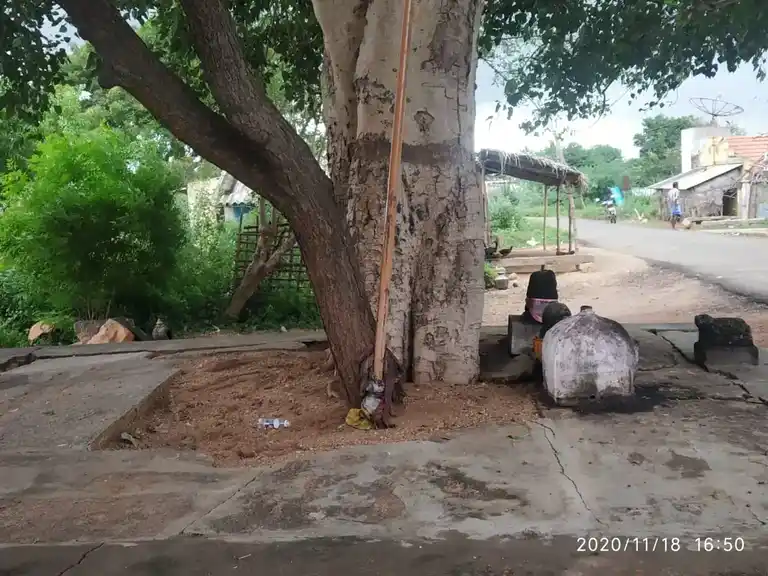 Arulmigu Karichampatti Vinayagar Temple, Reddichathiram - 621306 Arulmigu Karichampatti Vinayagar Temple, Reddichathiram - 621306, Thiruchirappalli - Ancient Temple Architecture and History Image 4