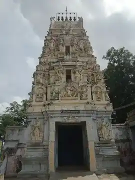 Arulmigu Karikinil Amarnthaval Temple, Kancheepuram - 631502 Arulmigu Karikinil Amarnthaval Temple, Kancheepuram - 631502, Kancheepuram - Ancient Temple Architecture and History Image 2