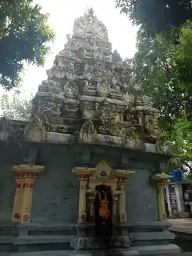 Arulmigu Karikinil Amarnthaval Temple, Kancheepuram - 631502 Arulmigu Karikinil Amarnthaval Temple, Kancheepuram - 631502, Kancheepuram - Ancient Temple Architecture and History Image 4