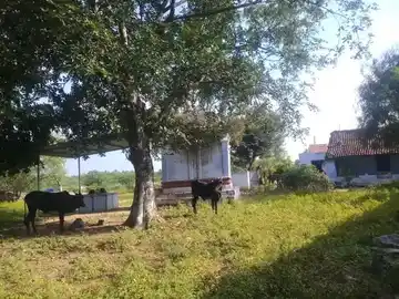 Arulmigu Karivanaperumal Temple, Kidarai - 638458 Temple