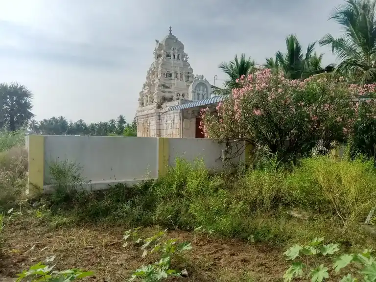 Arulmigu Karivaradarajaperumal Temple, Pallakuli - 637410 அருள்மிகு கரியவரதராஜபெருமாள் திருக்கோயில், Pallakuli - 637410, Namakkal - Ancient Temple Architecture and History Image 2