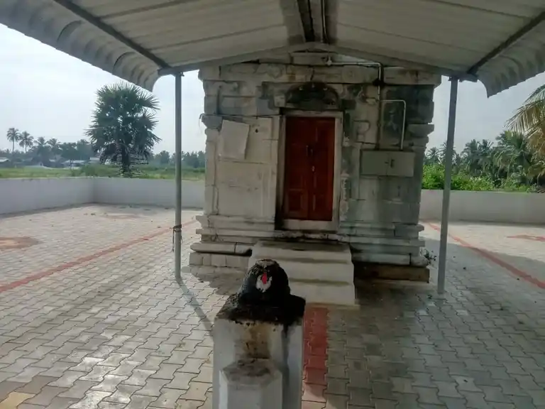 Arulmigu Karivaradarajaperumal Temple, Pallakuli - 637410 அருள்மிகு கரியவரதராஜபெருமாள் திருக்கோயில், Pallakuli - 637410, Namakkal - Ancient Temple Architecture and History Image 3