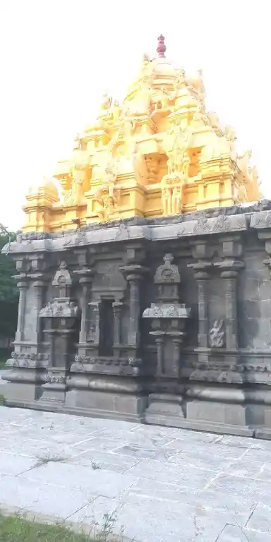 Arulmigu Karivaradharajaperumal Temple, Dhadhapuram - 604207 அருள்மிகு கரிவரதராஜப்பெருமாள் திருக்கோயில், தாதாபுரம் - 604207, Viluppuram - Ancient Temple Architecture and History Image 5