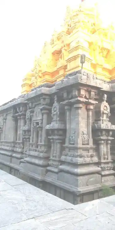 Arulmigu Karivaradharajaperumal Temple, Dhadhapuram - 604207 அருள்மிகு கரிவரதராஜப்பெருமாள் திருக்கோயில், தாதாபுரம் - 604207, Viluppuram - Ancient Temple Architecture and History Image 6