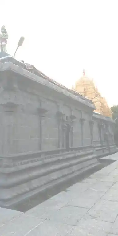 Arulmigu Karivaradharajaperumal Temple, Dhadhapuram - 604207 அருள்மிகு கரிவரதராஜப்பெருமாள் திருக்கோயில், தாதாபுரம் - 604207, Viluppuram - Ancient Temple Architecture and History Image 7