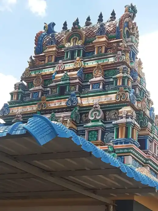Arulmigu Karivaradharajaperumal Temple, Pudupai, Pudupai - 638111 அருள்மிகு கரிவரதராஜப்பெருமாள் திருக்கோயில், புதுப்பை, Pudupai - 638111, Tiruppur - Ancient Temple Architecture and History Image 4