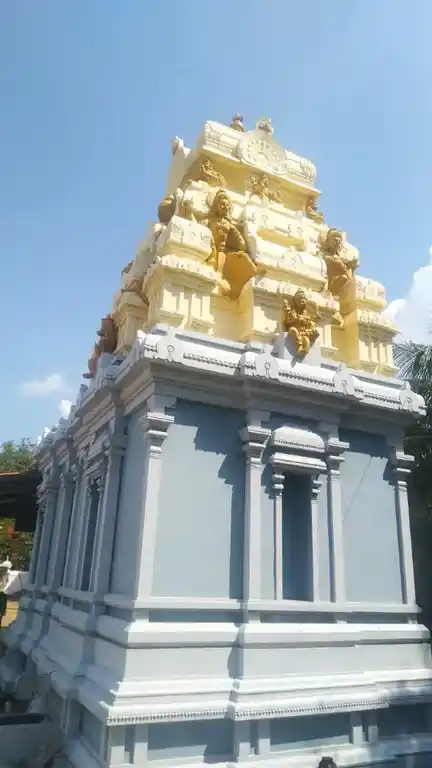 Arulmigu Karivaratharaja Perumal Temple, Panapatti - 641201 அருள்மிகு கரிவரதராஜப்பெருமாள் திருக்கோயில், Panapatti - 641201, Coimbatore - Ancient Temple Architecture and History Image 2