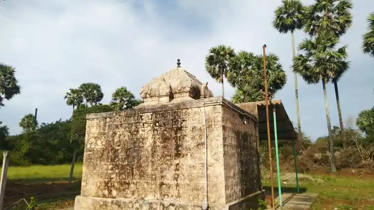 Arulmigu Karivaratharaja Perumal Temple, Singarapalayam - 642109 Arulmigu Karivaratharaja Perumal Temple, Singarapalayam - 642109, Coimbatore - Ancient Temple Architecture and History Image 3