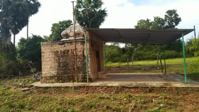 Arulmigu Karivaratharaja Perumal Temple, Singarapalayam - 642109 Arulmigu Karivaratharaja Perumal Temple, Singarapalayam - 642109, Coimbatore - Ancient Temple Architecture and History Image 7