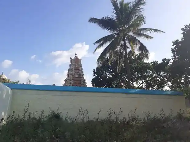 Arulmigu Karivaratharajaperumal Temple, Appanaikenpatty - 641664 Arulmigu Karivaratharajaperumal Temple,  - 641664, Coimbatore - Ancient Temple Architecture and History Image 6