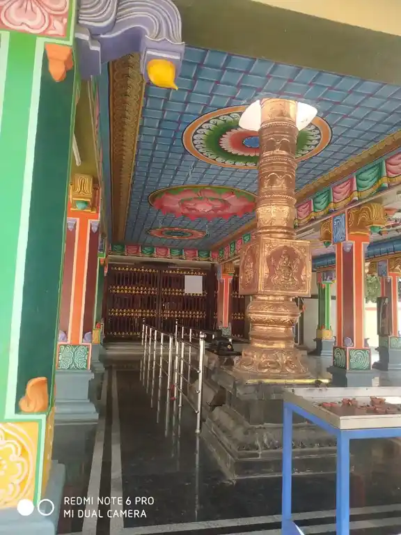 Arulmigu Karivaratharajaperumal Temple, Arasur - 641407 அருள்மிகு மாரியம்மன் வகையறா திருக்கோயில், Arasur - 641407, Coimbatore - Ancient Temple Architecture and History Image 5