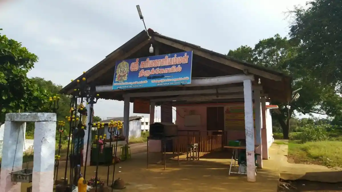 Arulmigu Kariya Kaliamman Temple, Kinathukadavu - 642109 அருள்மிகு கரிய காளியம்மன் திருக்கோயில்&nbsp, கிணத்துக்கடவு - 642109, Coimbatore - Ancient Temple Architecture and History Image 3