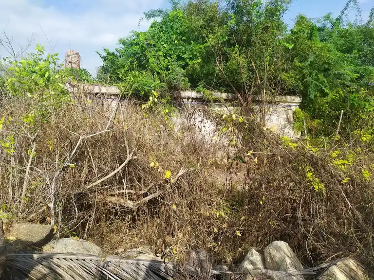 Arulmigu Kariya Kaliamman Temple, Pirithi - 637209 அருள்மிகு கரியகாளியம்மன் திருக்கோயில், Pirithi - 637209, Namakkal - Ancient Temple Architecture and History Image 3