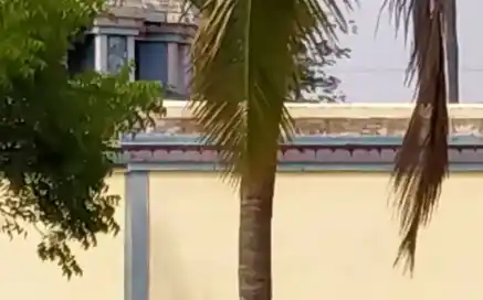 Arulmigu Kariya Kaliamman Temple, Puliyampatti - 624617 அருள்மிகு கரியகாளியம்மன் திருக்கோயில், Puliyampatti - 624617, Dindigul - Ancient Temple Architecture and History Image 3