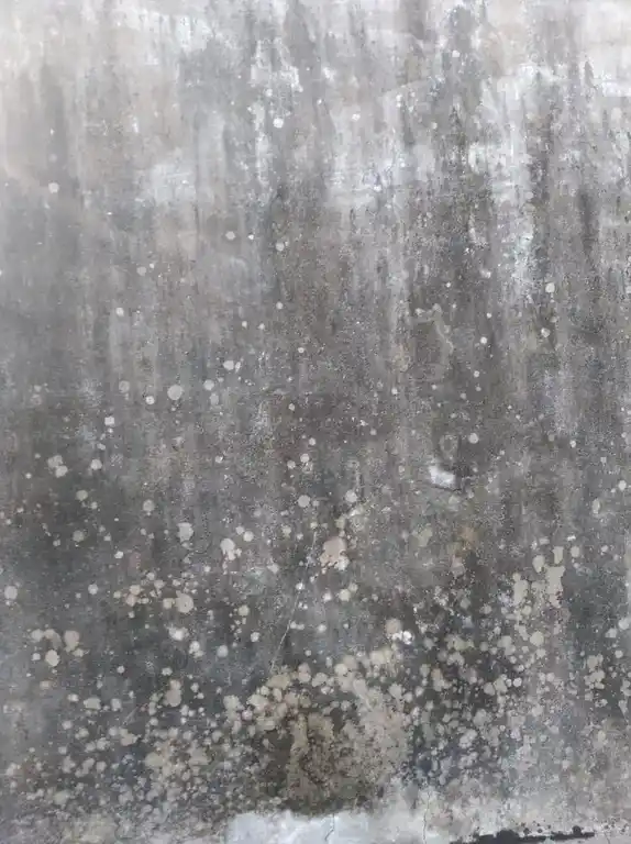 Arulmigu Kariya Manickka Perumal Temple, Aalampadi - 623532 Arulmigu Kariya Manickka Perumal Temple, Aalampadi - 623532, Ramanathapuram - Ancient Temple Architecture and History Image 5