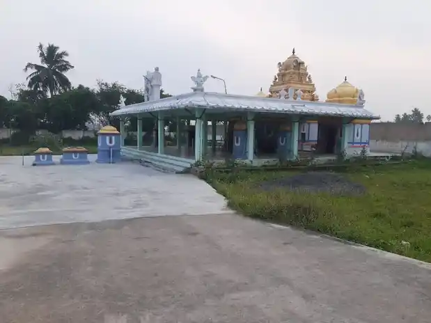 Arulmigu Kariya Manika Perumal Temple, Pitchivakkam - 631553 அருள்மிகு கரியமாணிக்கப் பெருமாள் திருக்கோயில், Pitchivakkam - 631553, Kancheepuram - Ancient Temple Architecture and History Image 4