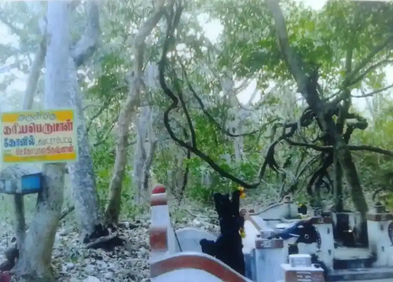 Arulmigu Kariya Perumal Temple, Kumutranpatti - 625103 கரியபெருமாள் திருக்கோயில், Kumutranpatti - 625103, Madurai - Ancient Temple Architecture and History Image 4