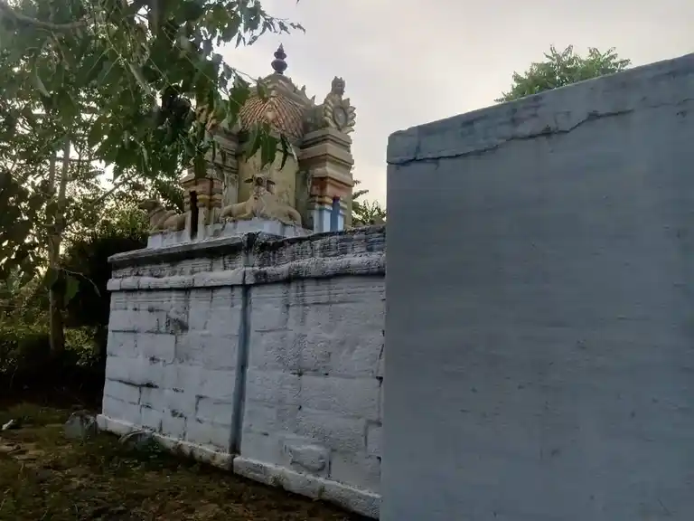 Arulmigu Kariya Perumal Temple, Minnampalli - 637019 அருள்மிகு கரியபெருமாள் திருக்கோயில், Minnampalli - 637019, Namakkal - Ancient Temple Architecture and History Image 4