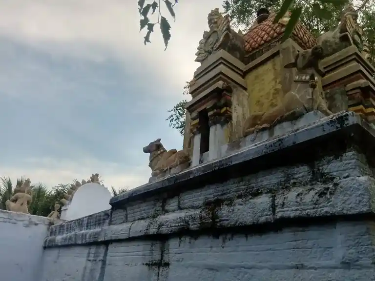 Arulmigu Kariya Perumal Temple, Minnampalli - 637019 அருள்மிகு கரியபெருமாள் திருக்கோயில், Minnampalli - 637019, Namakkal - Ancient Temple Architecture and History Image 6