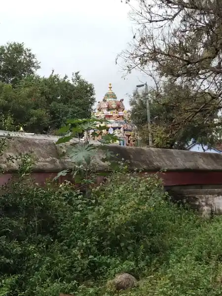 Arulmigu Kariya Perumal Temple, Thandakopppam, Mobirippatti - 636902 அருள்மிகு கரிய பெருமாள் திருக்கோயில், நரிப்பள்ளி, நரிப்பள்ளி - 636902, Dharmapuri - Ancient Temple Architecture and History Image 3