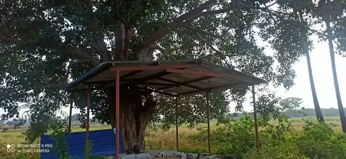 Arulmigu Kariyakaaliamman Temple, Ennamangalam - 638501 அருள்மிகு கரியகாளியம்மன் திருக்கோயில், Ennamangalam - 638501, Erode - Ancient Temple Architecture and History Image 3