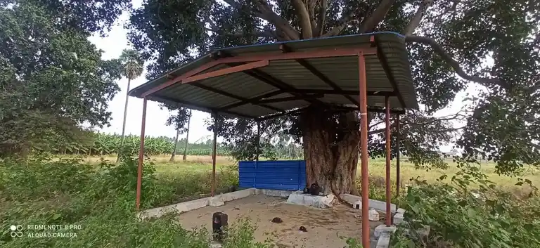 Arulmigu Kariyakaaliamman Temple, Ennamangalam - 638501 அருள்மிகு கரியகாளியம்மன் திருக்கோயில், Ennamangalam - 638501, Erode - Ancient Temple Architecture and History Image 4