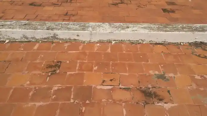 Arulmigu Kariyakaliamman Temple, Nallur - 638459 அருள்மிகு கரியகாளியம்மன் திருக்கோயில், Nallur - 638459, Erode - Ancient Temple Architecture and History Image 4