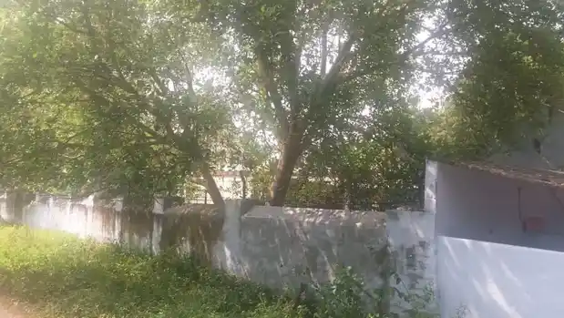 Arulmigu Kariyakaliamman Temple, Palakarai, Palakarai - 638057 Temple