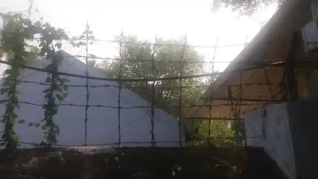 Arulmigu Kariyakaliamman Temple, Palakarai, Palakarai - 638057 அருள்மிகு கரியகாளியம்மன் திருக்கோயில், Palakarai, பாலக்கரை - 638057, Erode - Ancient Temple Architecture and History Image 2