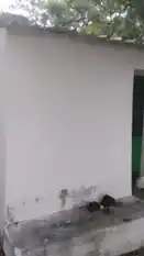 Arulmigu Kariyakaliamman Temple, Uanjapalayam, Uanjapalayam - 638055 Temple