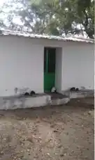 Arulmigu Kariyakaliamman Temple, Uanjapalayam, Uanjapalayam - 638055 அருள்மிகு கரியகாளியம்மன் திருக்கோயில், Uanjapalayam, Uanjapalayam - 638055, Erode - Ancient Temple Architecture and History Image 3