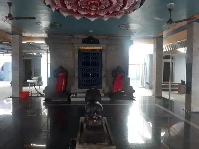 Arulmigu Kariyakaliammn Temple, Kannapuram, Pachapalayam - 638701 அருள்மிகு கரியகாளியம்மன் திருக்கோயில், கண்ணபுரம், பச்சாபாளையம் - 638701, Tiruppur - Ancient Temple Architecture and History Image 4