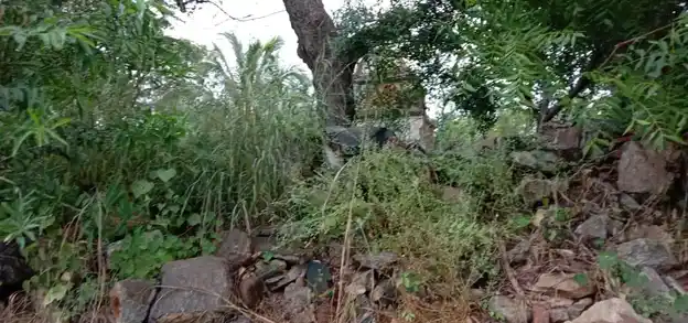 Arulmigu Kariyakaliyamman Temple, Nanjai Thurayampalayam, Nanjaithuraiampalayam - 638506 அருள்மிகு கரியகாளியம்மன் திருக்கோயில், நஞ்சாய்த்துறையம்பாளையம், Nanjaithuraiampalayam - 638506, Erode - Ancient Temple Architecture and History Image 3