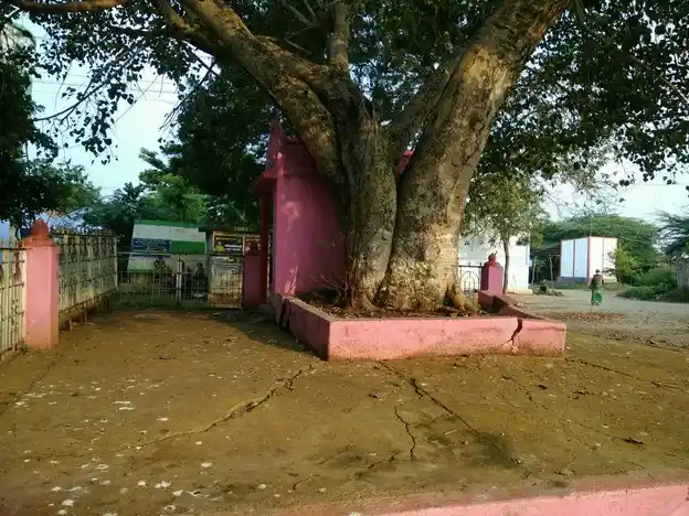 Arulmigu Kariyakaliyamman Temple, Pungampalli - 638402 அருள்மிகு கரியகாளியம்மன் திருக்கோயில், Pungampalli - 638402, Erode - Ancient Temple Architecture and History Image 9