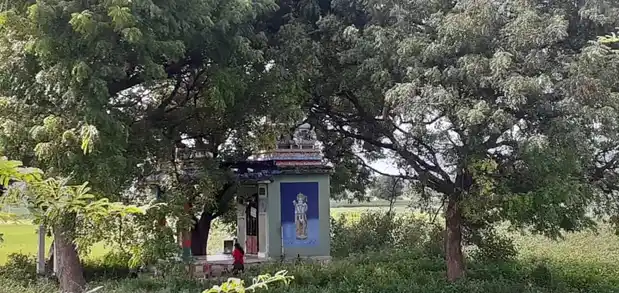 Arulmigu Kariyakattimalaiamman Temple, Alligundam - 625527 அருள்மிகு கரியகட்டி மாலையம்மன் திருக்கோயில், Alligundam - 625527, Madurai - Ancient Temple Architecture and History Image 5