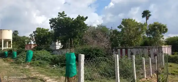 Arulmigu Kariyamaanikkapperumal Temple, Kottaiyur - 622506 அருள்மிகு கரியமாணிக்கப்பெருமாள் திருக்கோயில், Kottaiyur - 622506, Pudukkottai - Ancient Temple Architecture and History Image 2