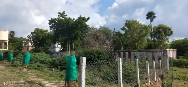 Arulmigu Kariyamaanikkapperumal Temple, Kottaiyur - 622506 அருள்மிகு கரியமாணிக்கப்பெருமாள் திருக்கோயில், Kottaiyur - 622506, Pudukkottai - Ancient Temple Architecture and History Image 6